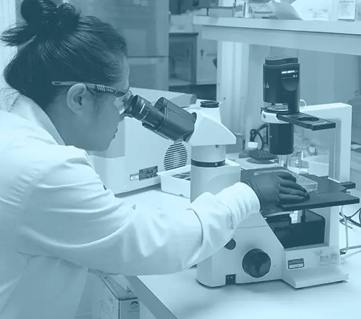 A scientist in a lab coat examines samples through a microscope on a laboratory bench, employing the precision of Triple Ring Technologies.